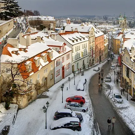 ゴールデン スター